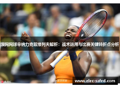 澳网网球辛纳力克兹维列夫解析：战术运用与比赛关键转折点分析