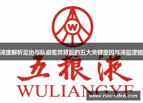 深度解析足协与队徽差异背后的五大关键原因与深层逻辑