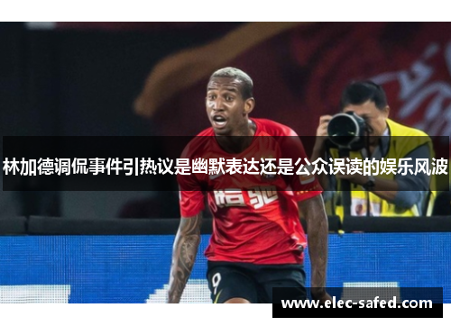 林加德调侃事件引热议是幽默表达还是公众误读的娱乐风波